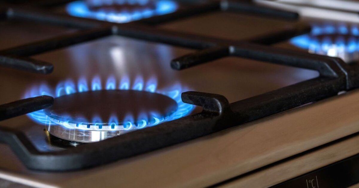 SEC lends clout to Vic gas switching goal