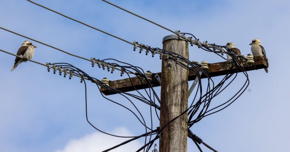 Who's really policing energy market manipulation?