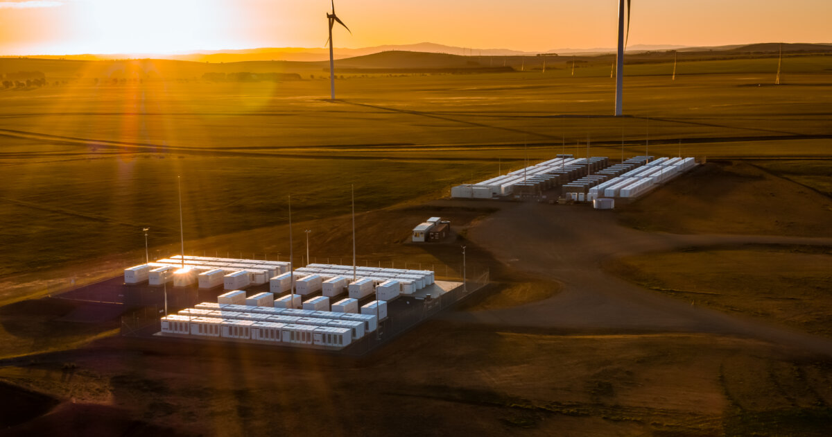Battery boom drives deep autumn price cuts